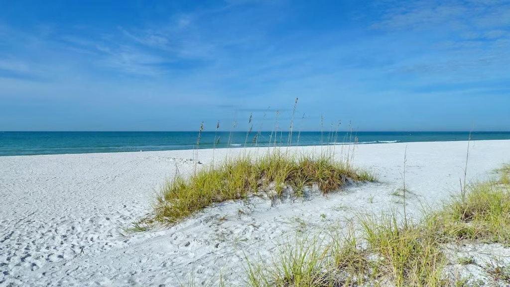 Beach Palms- Unit 102 Aparthotel Clearwater Beach Bagian luar foto